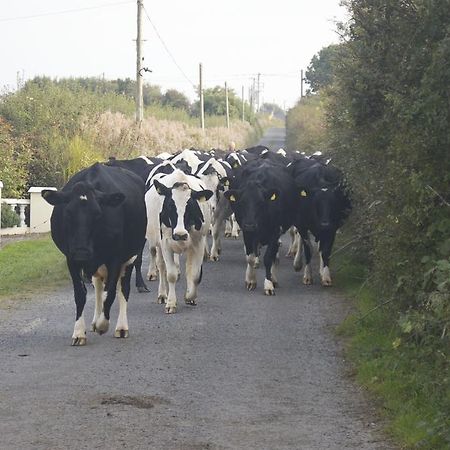 Greenfields Farmhouse Villa Ballylongford Esterno foto