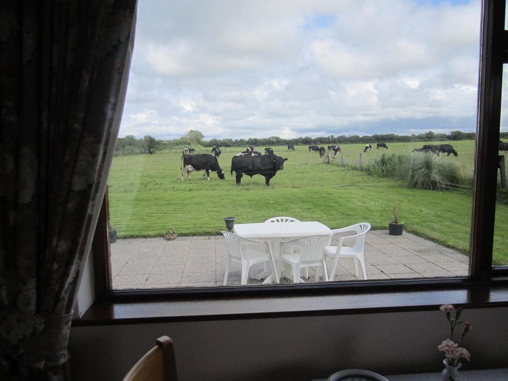 Greenfields Farmhouse Villa Ballylongford Camera foto